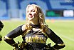 Die INSpire Dancers beim GFL2 Spiel der Krefeld Ravens vs Rostock 10.05.2025