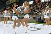 Die Cologne Cheerdance Cheerleader beim Heimspiel gegen die Potsdam Royals am 01.09.2019