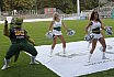 Die Cologne Cheerdance Cheerleader beim Heimspiel gegen die Potsdam Royals am 01.09.2019