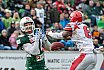 _SHU_vs_Marburg_Mercenaries - GFL: Schw&auml;bisch Hall Unicorns vs Marburg Mercenaries 52:09 27.04.2019