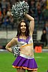 Die Frankfurt Universe Cheerleader beim Germanbowl XLI am 12.10.2019