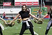Die Cologne Cheerdance Cheerleader beim Heimspiel gegen die D&uuml;sseldorf Panther am 22.05.2022