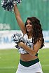 Die Cologne Cheerdance Cheerleader beim Heimspiel gegen die Potsdam Royals am 01.09.2019