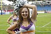Die Frankfurt Universe Cheerleader beim Heimspiel gegen die Stuttgart Scorpions am 18.08.2019