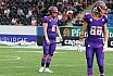 GFL Süd: Frankfurt Universe vs Stuttgart Scorpions 51:12 18.08.2019 Galerie 1