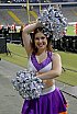 Die Frankfurt Universe Cheerleader beim Germanbowl XLI am 12.10.2019
