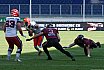 ELF: Rhein Fire vs Hamburg Sea Devils 16:40 25.07.2022