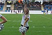 Die Frankfurt Universe Cheerleader beim Heimspiel gegen die Marburg Mercenaries am 07.09.2019