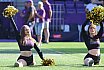 Die Cheerleader beim Spiel Vienna Vikings vs Rhein Fire (26:33) am 21.06.2025