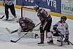 DEL2: Löwen Frankfurt vs. Dresdner Eislöwen 4:1 03.04.2019