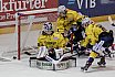 DEL2: Löwen Frankfurt vs. Lausitzer Füchse 5:1 08.02.2019