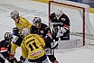 DEL2: Löwen Frankfurt vs. Lausitzer Füchse 5:1 08.02.2019