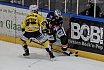 DEL2: Löwen Frankfurt vs. Lausitzer Füchse 5:1 08.02.2019