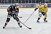 DEL2: Löwen Frankfurt vs. Lausitzer Füchse 5:1 08.02.2019