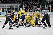 DEL2: Löwen Frankfurt vs. Lausitzer Füchse 5:1 08.02.2019