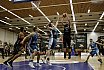 Pro A Basketball: White Wings Hanau vs. Uni Baskets Paderborn 78:83 26.01.2019
