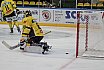 DEL2: L&ouml;wen Frankfurt vs. T&ouml;lzer L&ouml;wen 9:2 03.10.2018