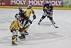 DEL2: L&ouml;wen Frankfurt vs. Bayreuth Tigers 10:4 21.10.2018