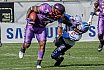 GFL Football: Samsung Frankfurt Universe vs Allgäu Comets 55:14 09.09.2018