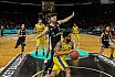 BBL: Braunschweig Basketball Löwen vs Hamburg Towers 94:97 06.12.2019