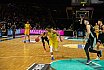 BBL: Braunschweig Basketball Löwen vs Hamburg Towers 94:97 06.12.2019