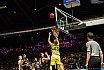 BBL: Basketball L&ouml;wen Braunschweig vs Mitteldeutscher BC 75:63 16.11.2018