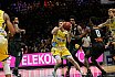BBL: Basketball L&ouml;wen Braunschweig vs Mitteldeutscher BC 75:63 16.11.2018