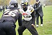 GFL2 Nord Krefeld Ravens Open Practice für die Saison 2026 16.11.2025