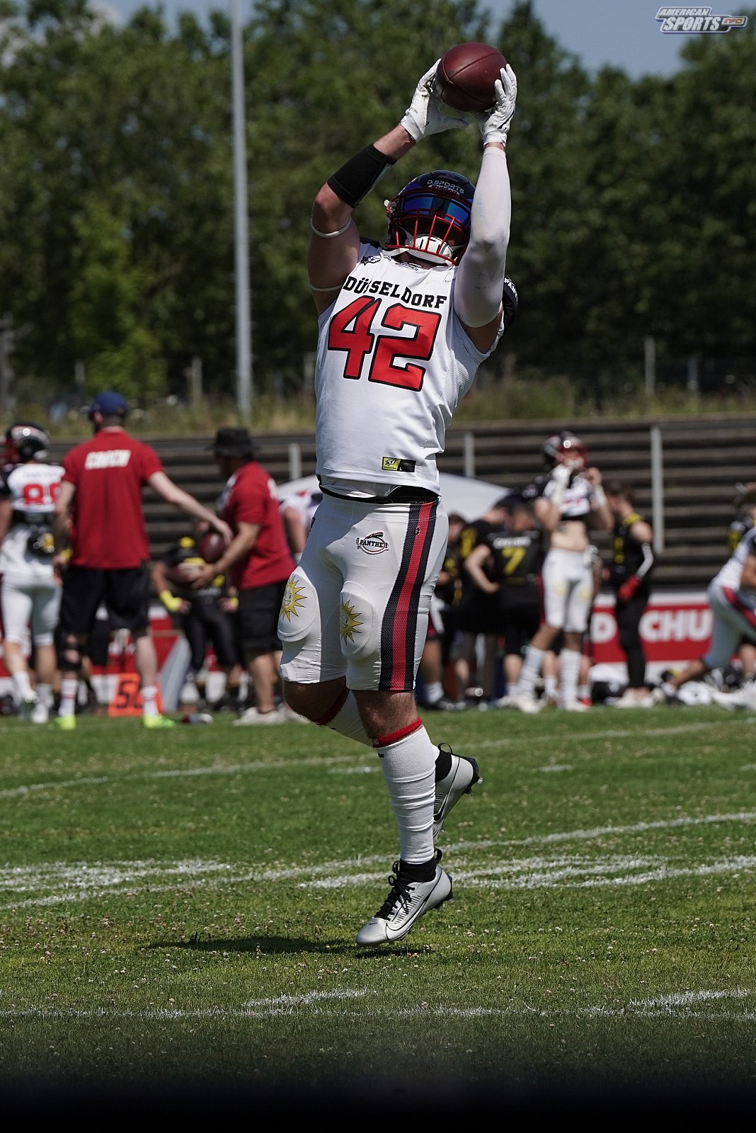 GFL2 Nord: Düsseldorf Panther vs Münster Blackhawks 32:00 08.07.2023