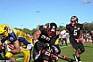 GFL Relegation: D&uuml;sseldorf Panther vs Elmshorn Fighting Pirates 14:47 21.09.2019