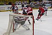 Oberliga Eishockey: EV Füchse Duisburg vs. EC Harzer Falken 3-6 08.02.2019