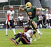 GFL Nord: Cologne Crocodiles vs D&uuml;sseldorf Panther 44:21 08.06.2019 Galerie 2