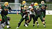 GFL Nord: Cologne Crocodiles vs D&uuml;sseldorf Panther 44:21 08.06.2019 Galerie 1