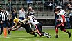 GFL Nord: Cologne Crocodiles vs D&uuml;sseldorf Panther 44:21 08.06.2019 Galerie 1