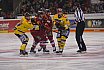 DEL: Düsseldorfer EG vs Krefeld Pinguine 1:2 01.03.2019