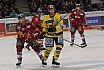 DEL: Düsseldorfer EG vs Krefeld Pinguine 1:2 01.03.2019