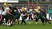 GFL Nord: Cologne Crocodiles vs D&uuml;sseldorf Panther 44:21 08.06.2019 Galerie 1