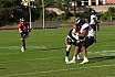 GFL2 Nord: D&uuml;sseldorf Panther vs Langenfeld Longhorns 14:07 26.08.2023