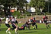 GFL2 Nord: D&uuml;sseldorf Panther vs Langenfeld Longhorns 14:07 26.08.2023