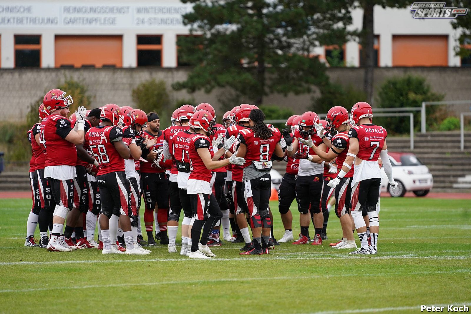 GFL Nord: Düsseldorf Panther vs Potsdam Royals 10:17 17.08.2019