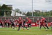 GFL Nord: D&uuml;sseldorf Panther vs Potsdam Royals 10:17 17.08.2019