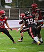 GFL Nord: D&uuml;sseldorf Panther vs Potsdam Royals 10:17 17.08.2019