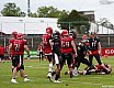 GFL Nord: D&uuml;sseldorf Panther vs Potsdam Royals 10:17 17.08.2019