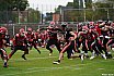 GFL Nord: D&uuml;sseldorf Panther vs Potsdam Royals 10:17 17.08.2019