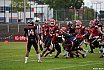 GFL Nord: D&uuml;sseldorf Panther vs Potsdam Royals 10:17 17.08.2019