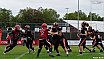 GFL Nord: D&uuml;sseldorf Panther vs Potsdam Royals 10:17 17.08.2019