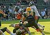GFL Nord: Cologne Crocodiles vs Kiel Baltic Hurricanes 13:12 15.06.2019