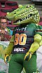 GFL Nord: Cologne Crocodiles vs Potsdam Royals 22:08 01.09.2019 Galerie 2
