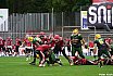 GFL Nord: Cologne Crocodiles vs Potsdam Royals 22:08 01.09.2019 Galerie 2