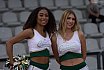 Die Cheerleader beim NRW Derby der D&uuml;sseldorf Panther gegen die Cologne Crocodiles am 07.09.2019